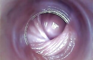 close up pussy, spread pussy close ups, cock opens pussy